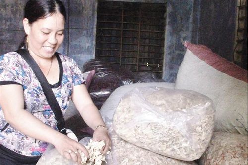 Chị Vẫn mắm ruốc