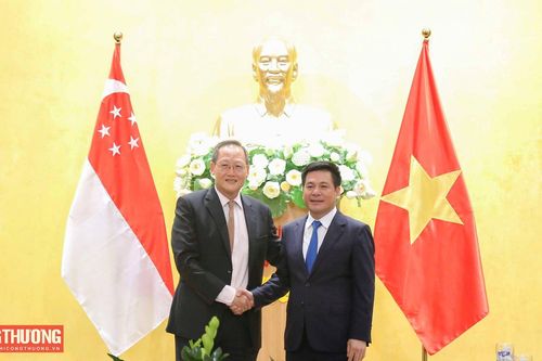 Hỗ trợ doanh nghiệp Singapore đầu tư điện gió, điện gió ngoài khơi tại Việt Nam