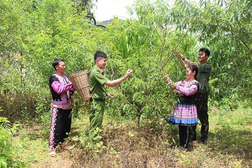 Nỗ lực chuyển hóa địa bàn phức tạp về an ninh trật tự