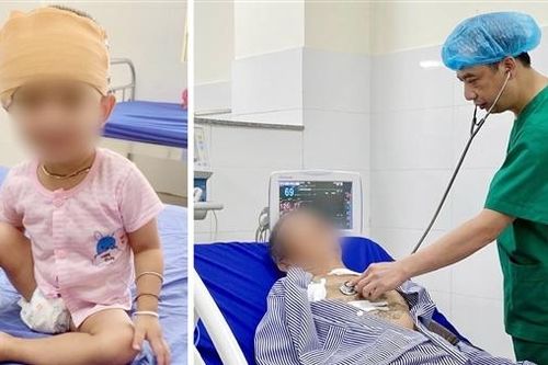 Đưa trâu đi uống nước, 2 ông cháu bị trâu húc chấn thương
