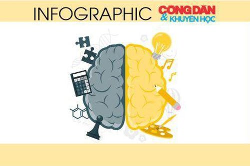 Những cách giúp trẻ phát triển trí tuệ hiệu quả