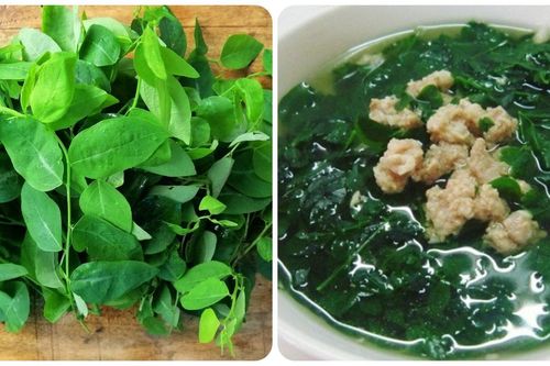 Có nên ăn rau ngót mỗi ngày không?
