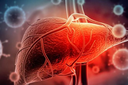 Quá trình lây truyền của virus viêm gan C