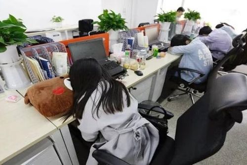 Người hay chợp mắt ban ngày giúp thường có bộ não lớn hơn