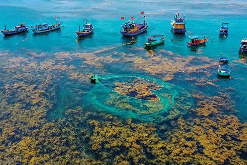 Những bãi biển độc đáo ở Bình Định