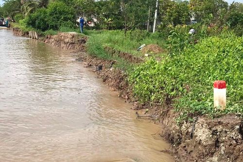 Sạt lở liên tiếp ở Cà Mau