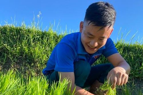 Thanh niên tình nguyện lội bùn cấy lúa giúp người dân