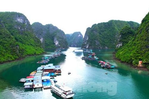 Lịch sử ít biết về làng chài cổ đẹp nhất thế giới ở vịnh Hạ Long