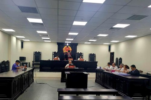 Viết bài xúc phạm đồng nghiệp, cựu nữ luật sư lĩnh án