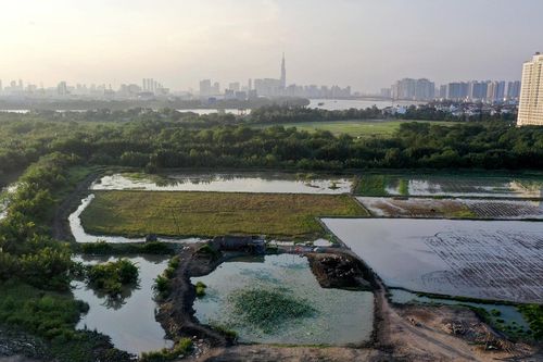 TP.HCM đề xuất chuyển mục đích hơn 24ha đất trồng lúa tại dự án nhà ở xã hội