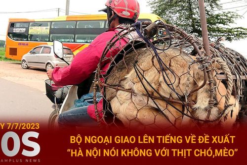 Bộ Ngoại giao lên tiếng về đề xuất Hà Nội nói không với thịt chó, mèo