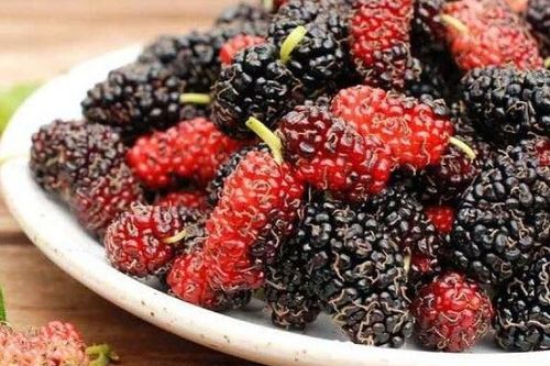 Canh đúng thời điểm vàng làm 4 việc này để dưỡng thận, giúp thận luôn khỏe