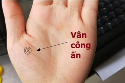 Người nhiều tiền lắm của trong lòng bàn tay thường có 9 đường vân này