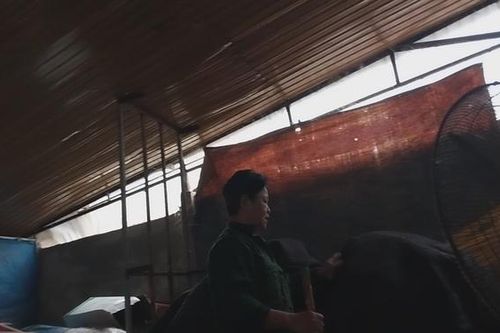 Vạch trần 'thần dược' Giáp Mộc An - Bài cuối: Lò sản xuất 'thần dược'… bên cạnh chuồng lợn
