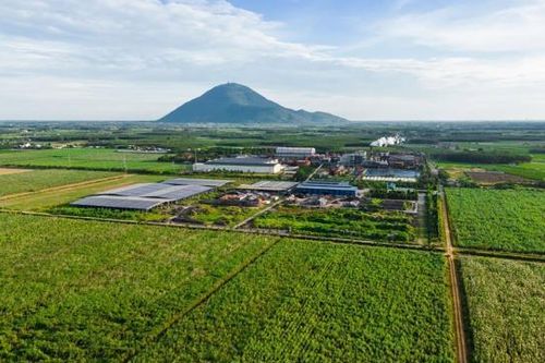 Chủ tịch Đặng Văn Thành: Tập đoàn TTC cam kết đầu tư mạnh mẽ vào lĩnh vực nông nghiệp