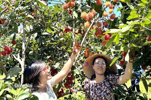 Để du lịch Long Khánh phát triển bền vững hơn