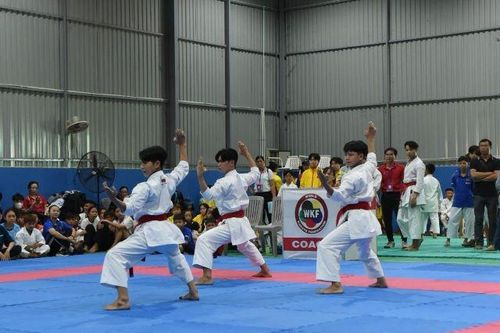 Khai mạc Giải karate vô địch và trẻ tỉnh Đồng Tháp năm 2023