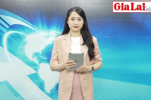 Gia Lai 24h: Chuyển hồ sơ vụ vận chuyển 1,9 m3 gỗ trái phép ở xã Kon Chiêng cho Hạt Kiểm lâm Mang Yang xử lý