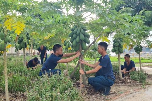 Tiểu đoàn Huấn luyện chiến sĩ mới: Quan tâm nâng cao đời sống bộ đội