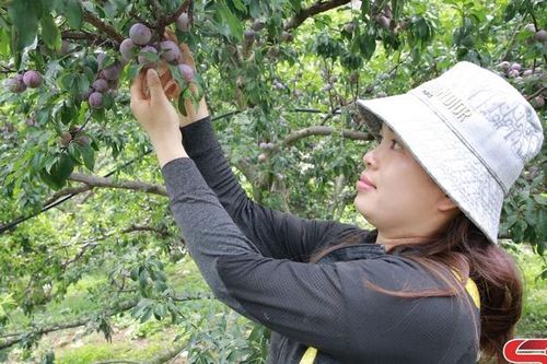 Thi đua là động lực thúc đẩy kinh tế - xã hội phát triển