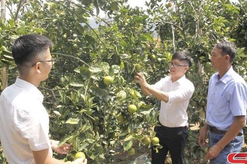 Agribank Sơn La - 35 năm đồng hành cùng 'tam nông'