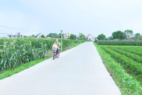 Phú Bình: Tiếp nhận 6.800 tấn xi măng hỗ trợ xây dựng nông thôn mới