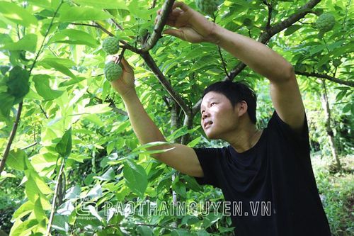 Tràng Xá hỗ trợ nông dân đưa khoa học xuống đồng ruộng
