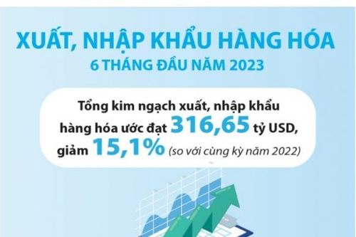 Ngành Hải quan nỗ lực thu ngân sách, trong bối cảnh xuất nhập khẩu suy giảm