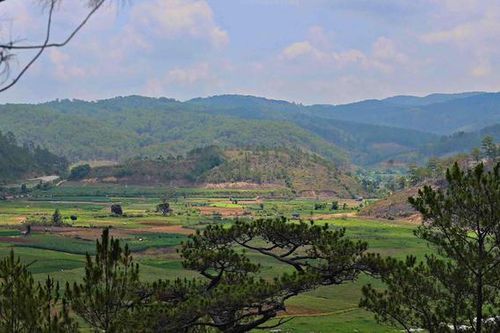 Chấm dứt chuyển nhượng dự án Sân golf và khu nghỉ dưỡng Đà Lạt
