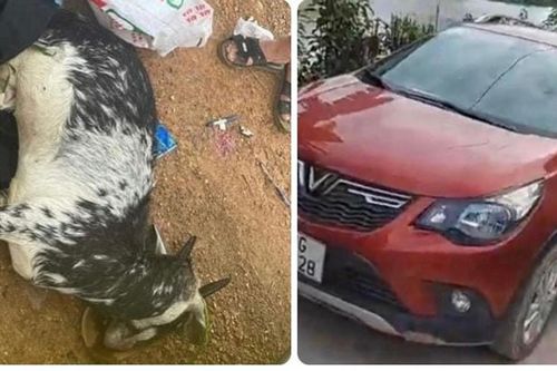 Ra lệnh tạm giam 3 cựu cán bộ Công an huyện Mỹ Đức vì trộm cắp tài sản