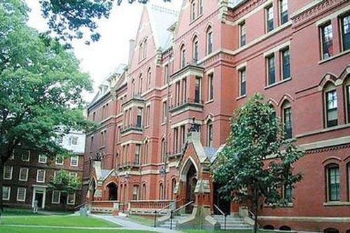Kỳ cuối: Sinh viên Harvard cũng 'nhúng chàm'