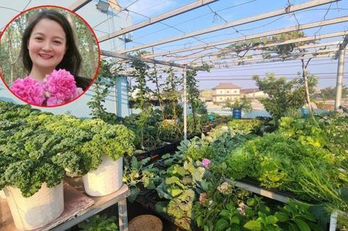 Vườn rau sân thượng rộng 100m2 ở Bình Dương: Đẹp không nỡ ăn, thành quả thu hoạch ấn tượng