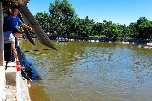 Để phát triển tốt hơn – cần tăng nguồn vốn hỗ trợ hội viên