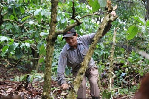 Dự án chậm triển khai, người dân sống bấp bênh