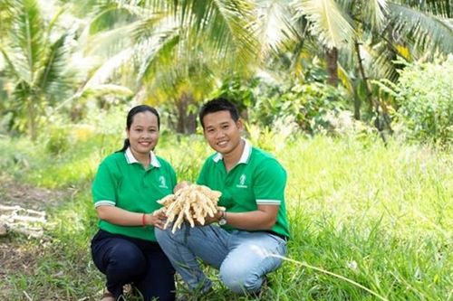 Cặp đôi thạc sĩ khởi nghiệp với nghề 'mát xa' hoa dừa lấy mật