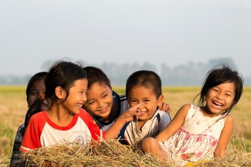 Xây dựng hướng dẫn 'Mô hình cung cấp dịch vụ bảo vệ trẻ em tích hợp'