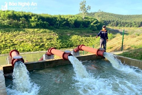 Nhiều trạm bơm ở Nghệ An chạy hết công suất chống hạn, cứu lúa hè thu