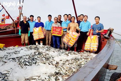 Nhiều ngư dân Cửa Lò thắng lớn