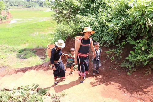 Quân - dân gắn kết, cùng chăm lo đời sống cho đồng bào dân tộc thiểu số Tây Nguyên