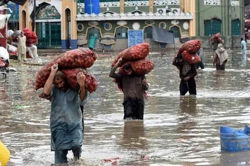 Gần 200 người chết và bị thương do mưa lũ ở Pakistan