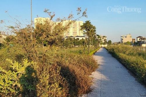 Công viên Quảng Xá giữa lòng thành phố Thanh Hóa xuống cấp, cỏ mọc um tùm