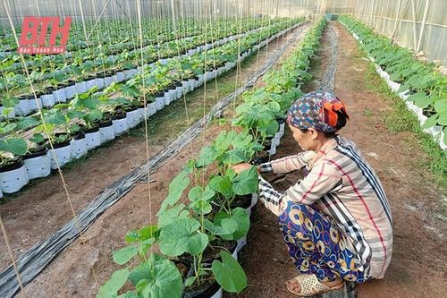 Xây dựng chuỗi cung ứng nông sản an toàn - nhìn từ một doanh nghiệp