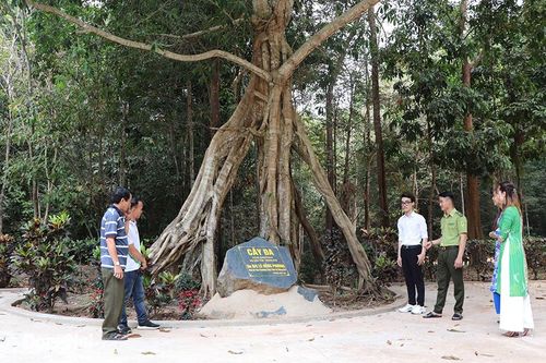 Đồng Nai có tỷ lệ độ che phủ rừng cao nhất Đông Nam bộ