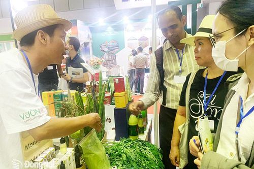 Độc đáo ẩm thực chế biến từ cây chùm ngây