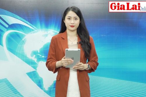 Gia Lai 24h: Gia Lai: Đạt 11 giải tại Hội thi Tin học trẻ toàn quốc lần thứ XXIX vòng thi khu vực miền Trung