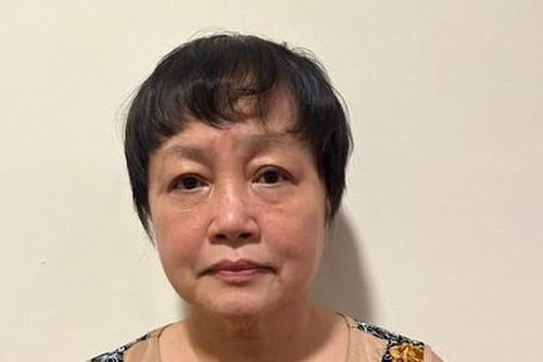 Bắt tạm giam bà Trần Thị Bình Minh, nguyên Phó Giám đốc Sở KH-ĐT TPHCM