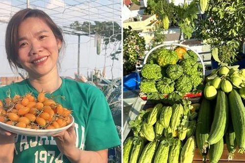 'Cắt' 1 tiếng/ngày làm nông dân, nữ kế toán biến sân thượng 50m2 thành khu vườn ngập tràn rau quả