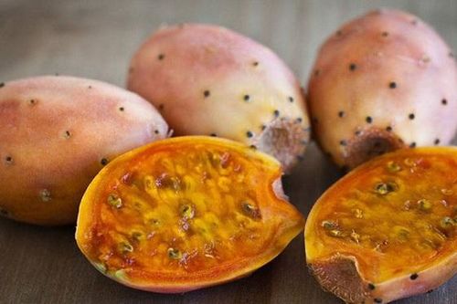 Độc lạ quả mọc nhiều ở cây làm hàng rào giờ lại thành đặc sản bán với giá đắt đỏ