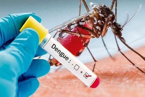 Sốt xuất huyết dengue khi nào cần xét nghiệm?