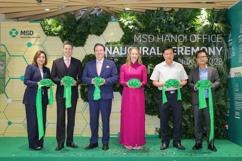 Khai trương văn phòng mới của MSD tại Hà Nội